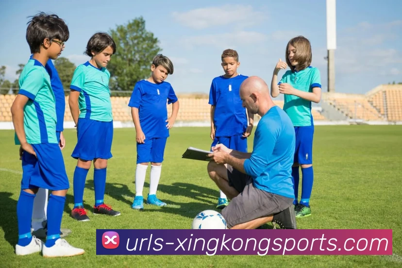 星空官网平台生态图