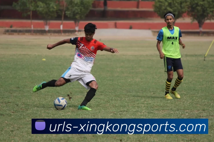 星空官网APP 封面图